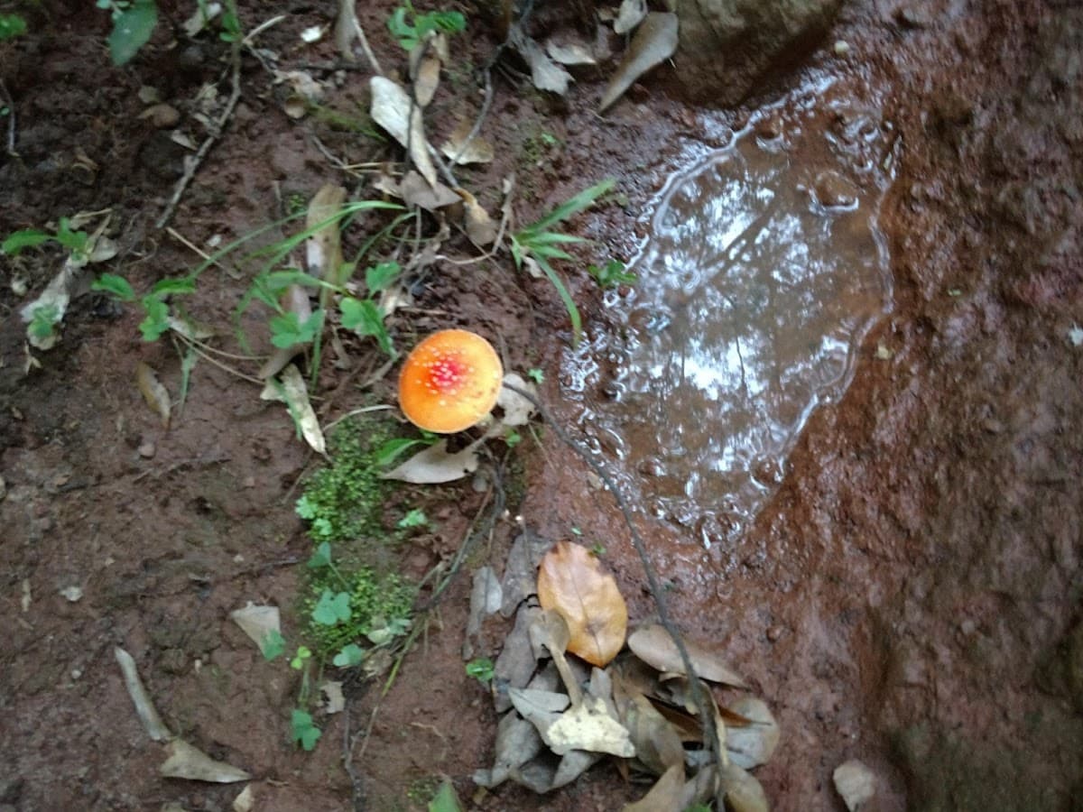 Keebler Park thumbnail 3