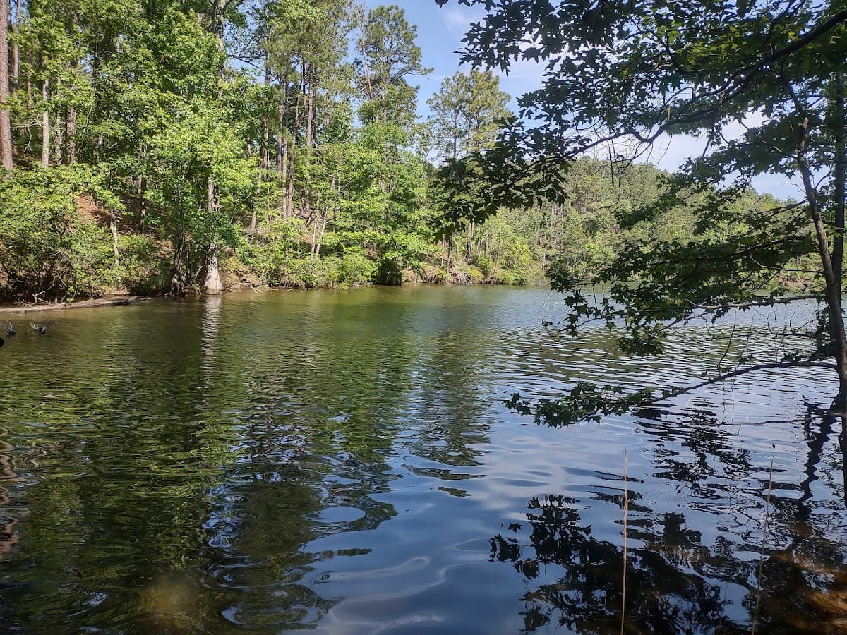 New Site Park thumbnail 2