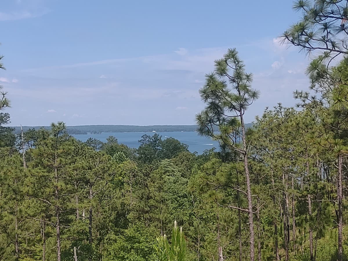 New Site Park thumbnail 3