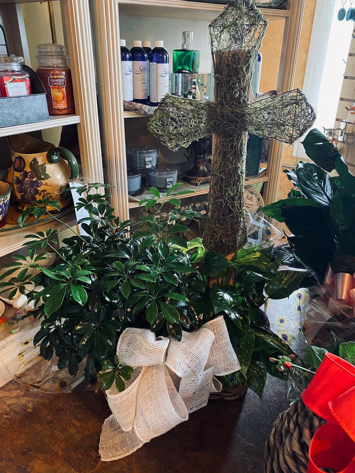 Petal House thumbnail 5