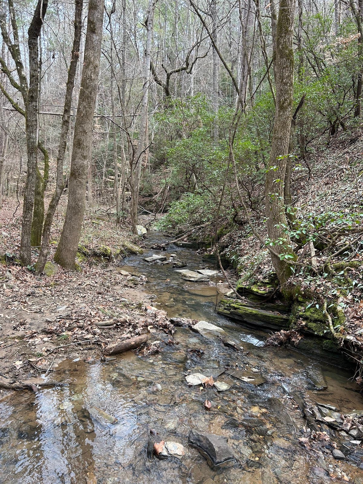 Trails at Yates Lake